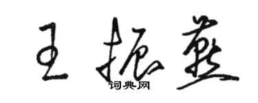 駱恆光王振燕草書個性簽名怎么寫