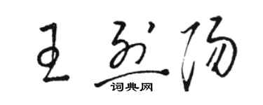 駱恆光王烈陽草書個性簽名怎么寫