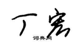 朱錫榮丁宏草書個性簽名怎么寫