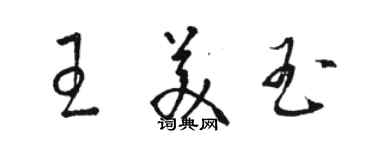 駱恆光王美玉草書個性簽名怎么寫