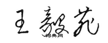 駱恆光王毅菲草書個性簽名怎么寫