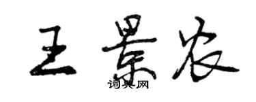 曾慶福王景農行書個性簽名怎么寫