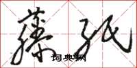 駱恆光藤紙草書怎么寫