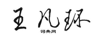 駱恆光王凡環行書個性簽名怎么寫
