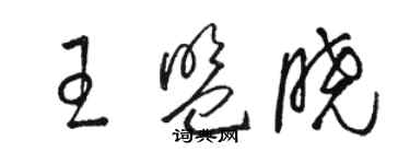 駱恆光王盟曉草書個性簽名怎么寫