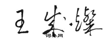 駱恆光王成燦草書個性簽名怎么寫