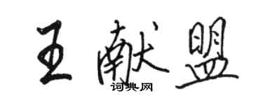 駱恆光王獻盟行書個性簽名怎么寫