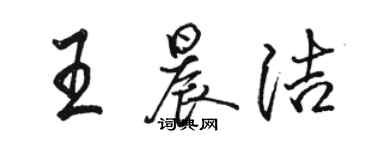 駱恆光王晨潔行書個性簽名怎么寫