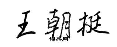 王正良王朝挺行書個性簽名怎么寫