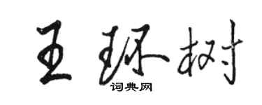 駱恆光王環樹行書個性簽名怎么寫