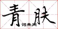 周炳元青膚楷書怎么寫