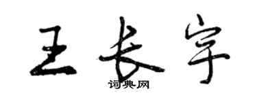 曾慶福王長宇行書個性簽名怎么寫