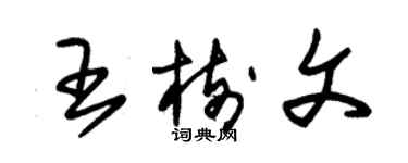 朱錫榮王樹文草書個性簽名怎么寫