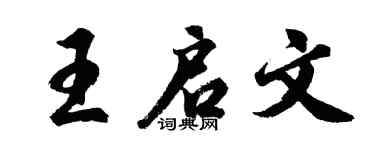 胡問遂王啟文行書個性簽名怎么寫