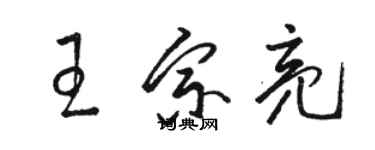 駱恆光王宗亮草書個性簽名怎么寫