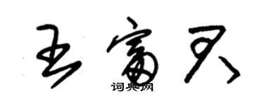 朱錫榮王富君草書個性簽名怎么寫