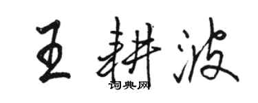 駱恆光王耕波行書個性簽名怎么寫