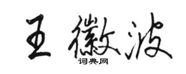 駱恆光王徽波行書個性簽名怎么寫