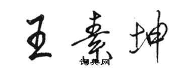 駱恆光王素坤行書個性簽名怎么寫