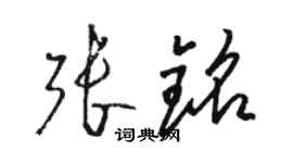 駱恆光張銘草書個性簽名怎么寫