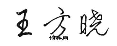 駱恆光王方曉行書個性簽名怎么寫