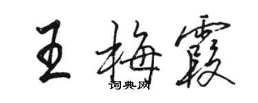 駱恆光王梅霞行書個性簽名怎么寫