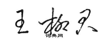 駱恆光王柳君草書個性簽名怎么寫