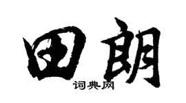 胡問遂田朗行書個性簽名怎么寫