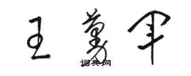 駱恆光王蔓軍草書個性簽名怎么寫