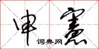 王冬齡申憲草書怎么寫