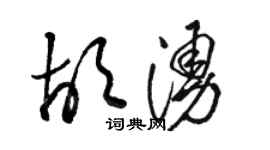 駱恆光胡涌草書個性簽名怎么寫