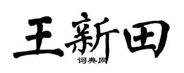 翁闓運王新田楷書個性簽名怎么寫