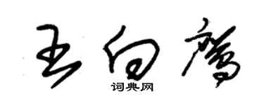 朱錫榮王向鷹草書個性簽名怎么寫