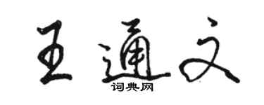 駱恆光王通文行書個性簽名怎么寫