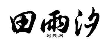 胡問遂田雨汐行書個性簽名怎么寫