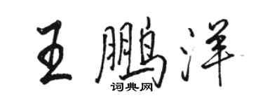 駱恆光王鵬洋行書個性簽名怎么寫