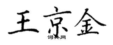 丁謙王京金楷書個性簽名怎么寫
