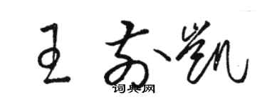 駱恆光王前凱草書個性簽名怎么寫