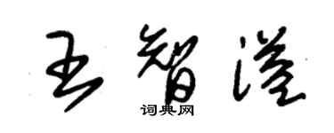 朱錫榮王智溢草書個性簽名怎么寫