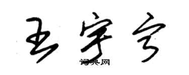 朱錫榮王宇寧草書個性簽名怎么寫