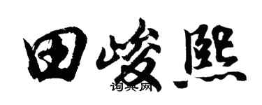 胡問遂田峻熙行書個性簽名怎么寫