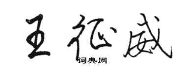 駱恆光王征威行書個性簽名怎么寫