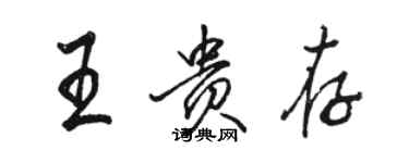 駱恆光王貴存行書個性簽名怎么寫