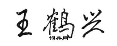 駱恆光王鶴興行書個性簽名怎么寫