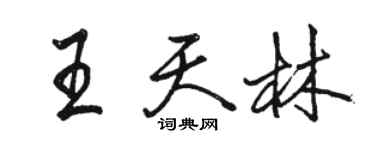 駱恆光王天林行書個性簽名怎么寫