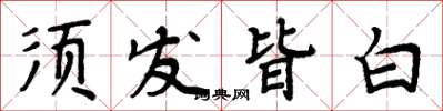 周炳元鬚髮皆白楷書怎么寫