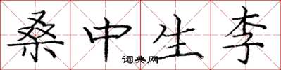 龐中華桑中生李楷書怎么寫