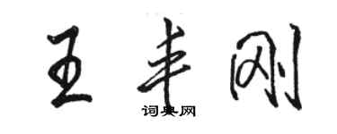 駱恆光王豐剛行書個性簽名怎么寫