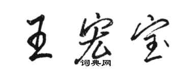 駱恆光王宏寶行書個性簽名怎么寫
