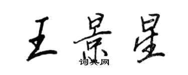 王正良王景星行書個性簽名怎么寫